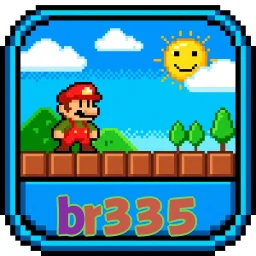 br335