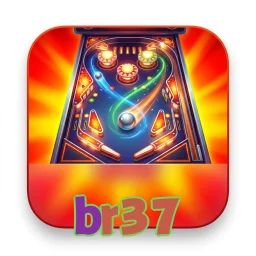 br37